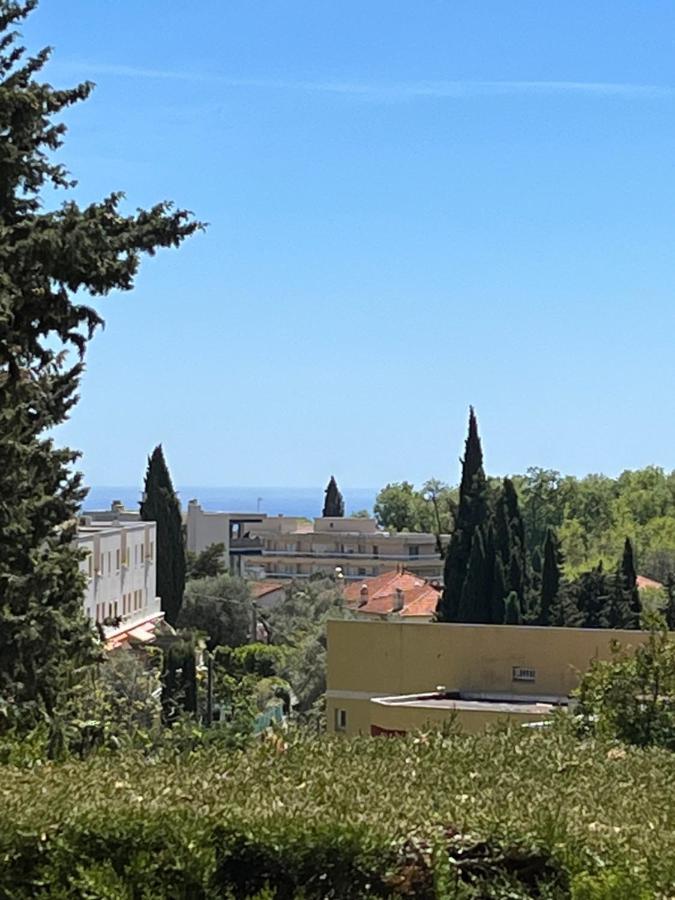 Charmant Studio Avec Terrasse Et Parking A Ванс Екстериор снимка